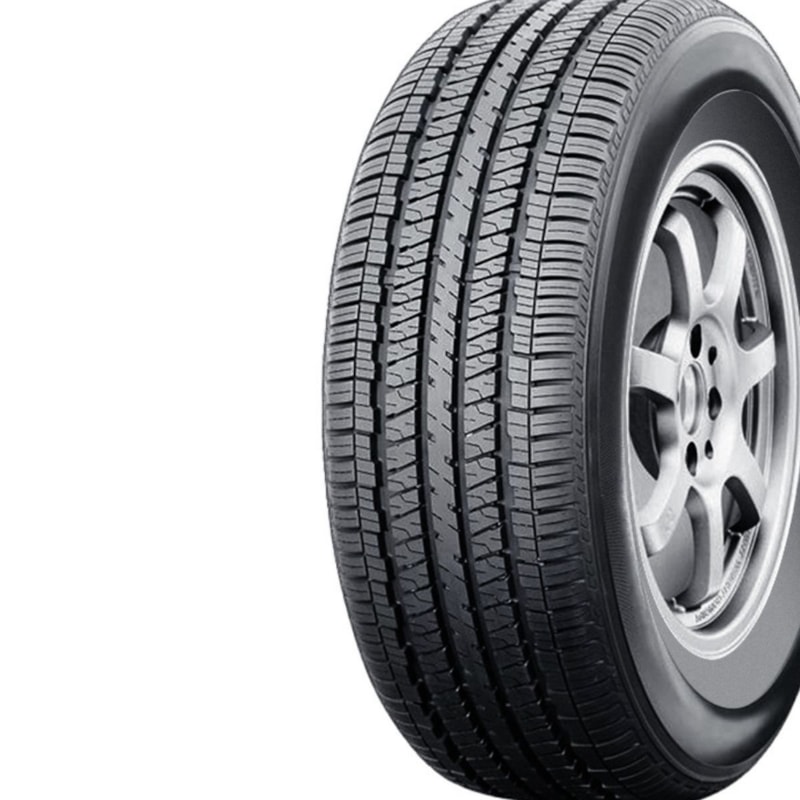 image_14b4ef22-9a3d-44af-93b9-3916f0bf29bd